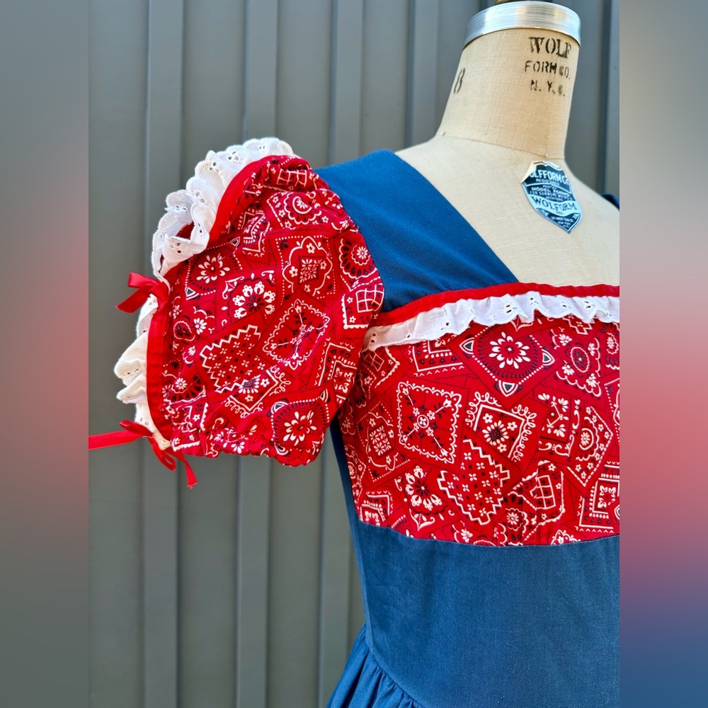 Handmade Vintage Americana Blue and Red Paisley Square Dance Dress - Picture 3 of 8